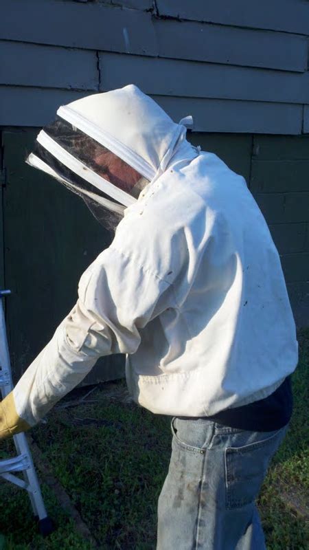 Once the bees come in contact with the zapper, they are electrocuted and killed immediately. How To Get Rid Of Honey Bees Around Outside Of Your Home