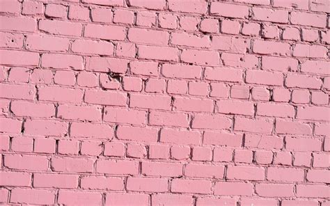 Pink Brick Wallpapers Top Free Pink Brick Backgrounds Wallpaperaccess My Xxx Hot Girl