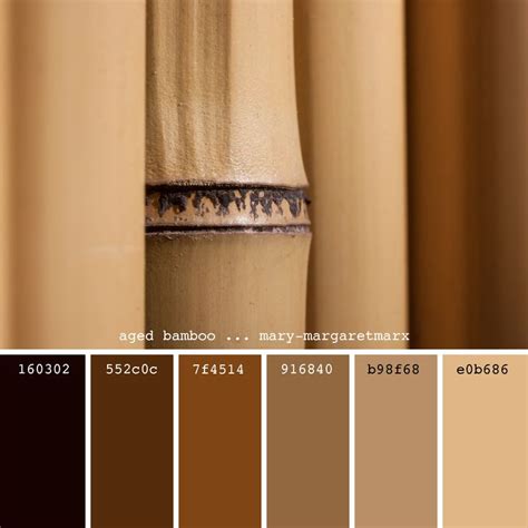 Mmarx Brown Color Palette Tan Color Palette Brown