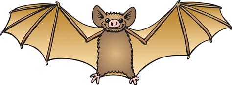 An ordinary pencil, a black felt pen, a ruler and a compass. Bat clipart - Clipground