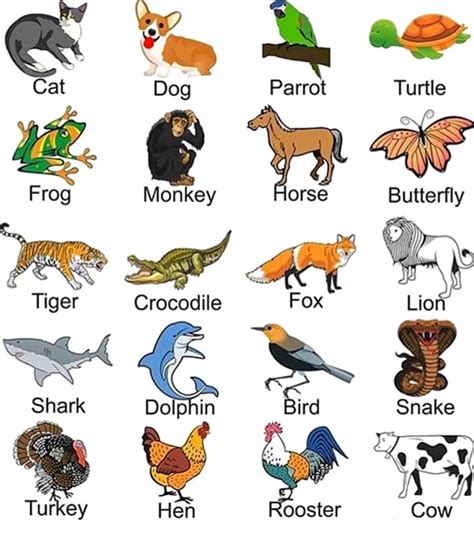 List Of Common Animals