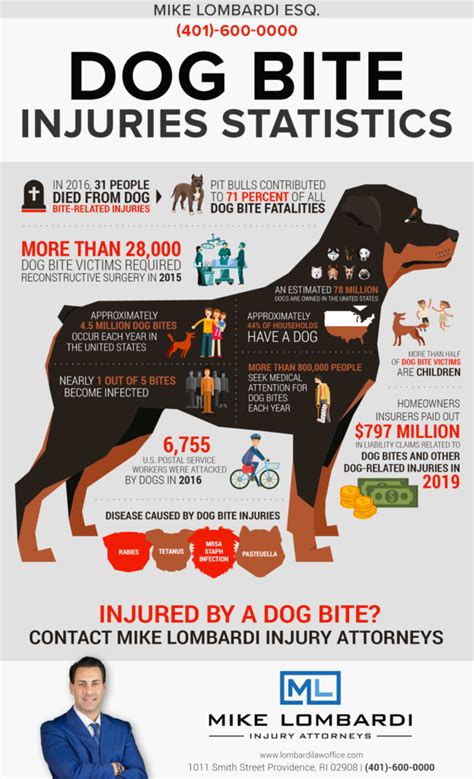 Dog Bite Injuries Statistics Mike Lombardi Attorneys