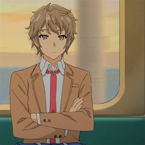 Rascal Does Not Dream Of Bunny Girl Senpai Couples Icons Matching