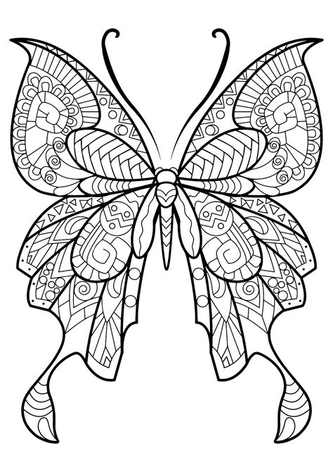 Butterfly Beautiful Patterns 8 Butterflies Insects Adult Coloring