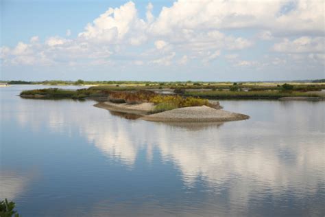 Florida Salt Marsh Landscape Stock Photo Download Image Now Istock