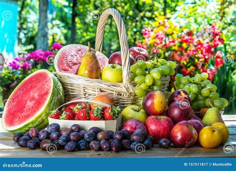 variety of fresh ripe fruits in the garden stock image image of ingredient product 157511817