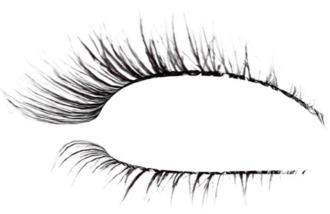 Eyelashes Png Transparent Images Pictures Photos Png Arts