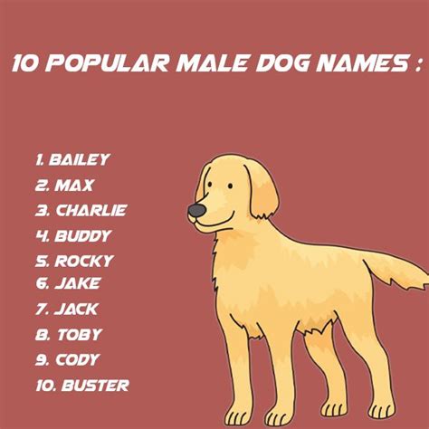 Ten Popular Male Dog Names Dog Names Boy Dog Names Popular Male Dog