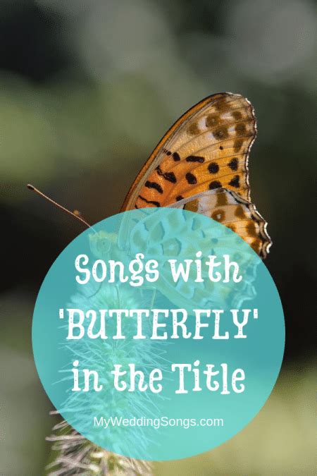 Butterfly Songs Songs With Butterfly In The Title My