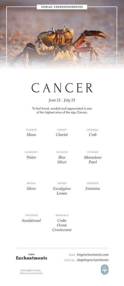 Learn everything about the astrological sign of cancer and its detailed interpretation. Canceriann | Zodiac signs cancer, Cancer personality ...