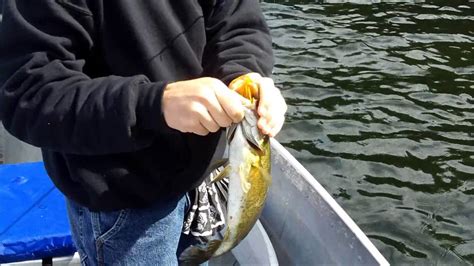 Fishing At Quabbin Reservoir Youtube