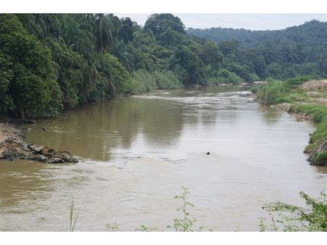 Selangor, also known by its arabic honorific darul ehsan, or abode of sincerity, is one of the 13 states of malaysia. GERAKAN ANTI PKR: PENCEMARAN SERIUS SUNGAI SELANGOR ...