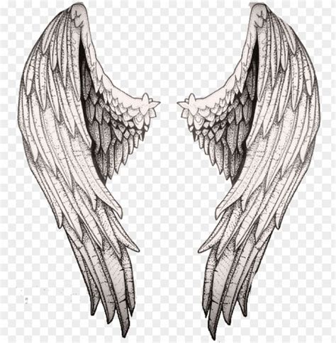Two Angel Wings On A Transparent Background
