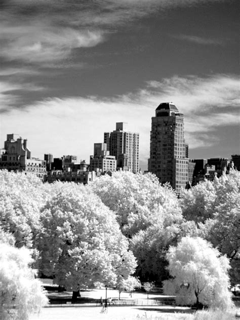 Central Park Infrared