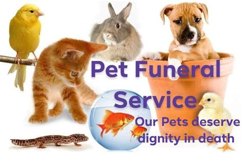 Pet Funeral Service