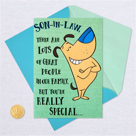 Youre Really Special Funny Birthday Card For Son In Law Greeting