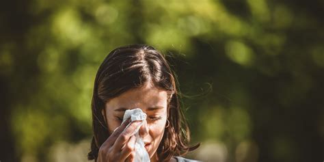 Natural Remedies For Hayfever 6 Ways To Calm Your Symptoms