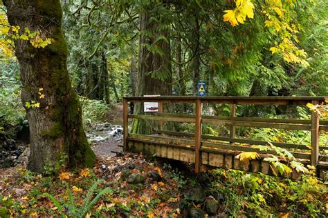 23 Best Things To Do On Vancouver Island In 2023 Travel Lemming