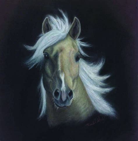 Nakota Horse Chalk Pastel By Rachel Wertz Chalk Pastels Horse