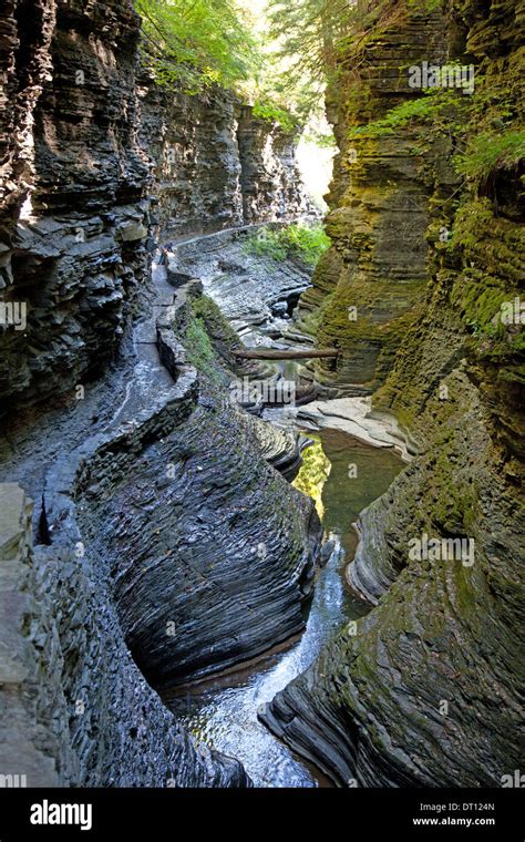 The Gorge Trail Follows A Narrow Stream In Watkins Glen State Park