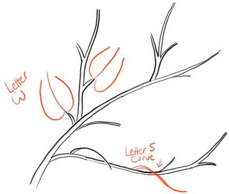 How To Draw Tree Branches Full Of Leaves Drawing Tutorial How To Draw
