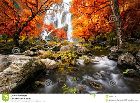 Waterfall In The Autumn Stock Photo Image Of Green Mountain 46408178