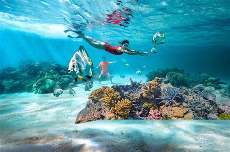 Sydney To Great Barrier Reef Self Drive Freedom Destinations