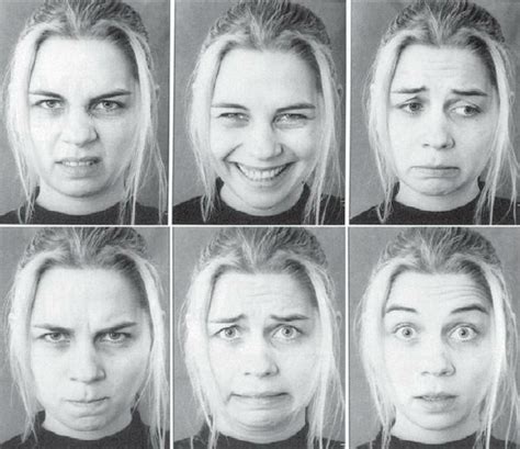 human facial expressions of six basic ekman emotions download scientific diagram