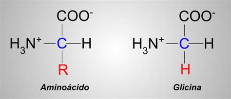 Química Sexto Estructura Básica De Los Aminoácidos
