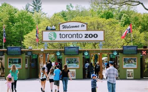 Зоопарк в Торонто Toronto Zoo Торонто