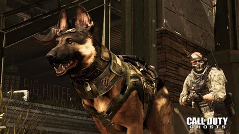 Call Of Duty Riley Call Of Duty Ghosts Dog Forum Military Dogs