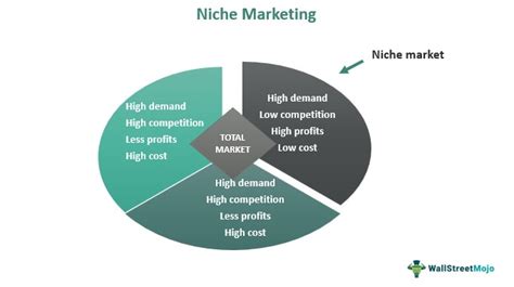 Niche Marketing Meaning Examples Advantages Characteristics