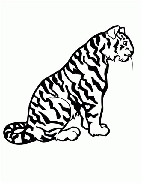 Disegno Di Tigre
