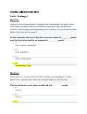 Microeconomics Unit Challenge Docx Sophia Microeconomics Unit Challenge Question