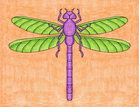 Draw A Realistic Dragonfly · Art Projects For Kids