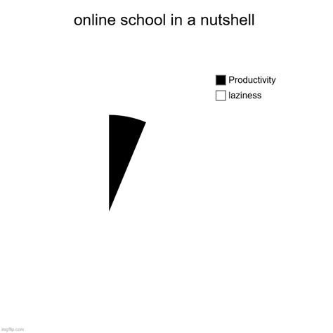 Online School In A Nutshell Imgflip