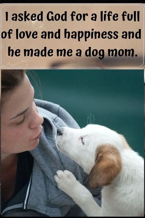 15 Best Dog Mom Quotes That Will Warm Your Heart Labrador Loving Souls