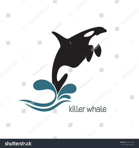Killer Whale Jumping Out Water Stock Vector Royalty Free 279714284
