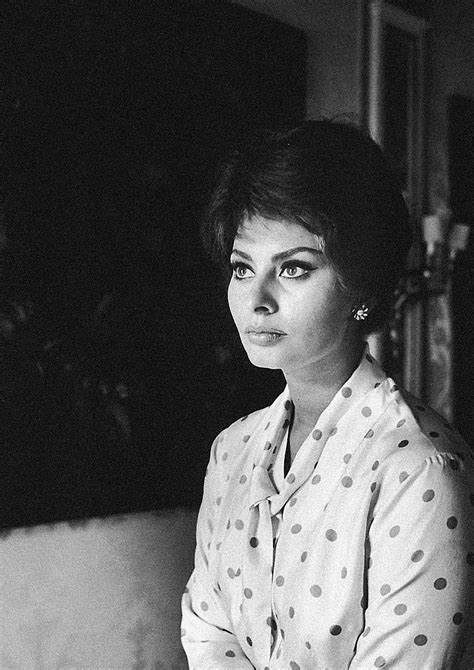 Sophia Loren Sophia Loren Photo Sophia Loren Sofia Loren