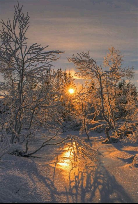 Winter Sunrise In Norway Winter Sunrise Winter Scenes