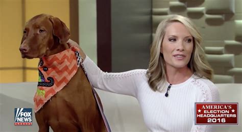 Fox Personality Dana Perino Shares What Helped Her After Her Dogs