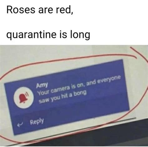 I Love Poetry Roses Are Red Violets Are Blue Know Your Meme