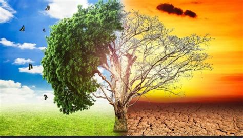 Por este motivo tienes que tenerla en tu huerta. Huelga mundial por el clima para el 27 de septiembre de 2019