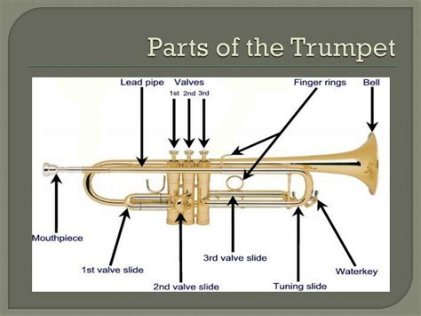 Ppt Trumpet Essentials Powerpoint Presentation Free Download Id