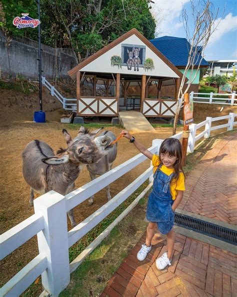 Alasannya yaitu kediri waterpark ini memiliki water slide atau sejenis. √ Tiket Masuk Cimory Dairyland Juni 2021| Momokiro