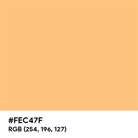 Warm Orange Color Hex Code Is Fec47f