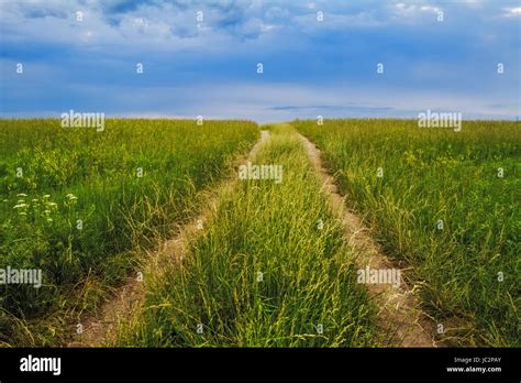A Road Going Through A Tall Grass Prairie In The Midwest With A