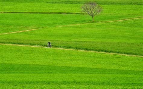 Wallpaper Green Fields Farmland 1920x1200 Hd Picture Image