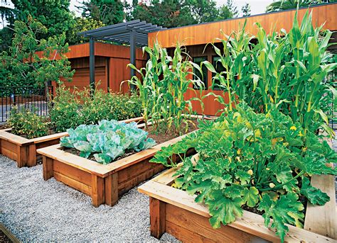 Ideas For Your Garden Layout Sunset Magazine