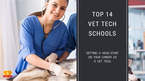 Top 14 Best Veterinary Technician Schools For 2022 Choose Wisely